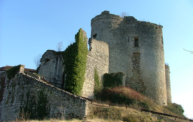 Château fort de Montaigu-le-Blin